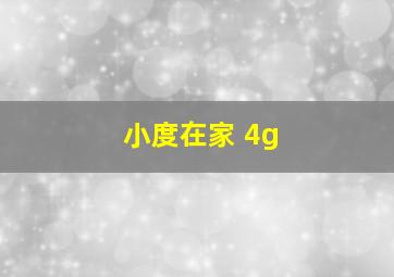 小度在家 4g